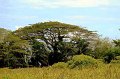 IMG_8445