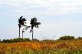 IMG_8446