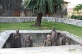 IMG_8482