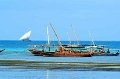 IMG_8581