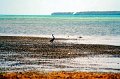 IMG_8587