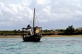 IMG_8591