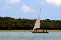 IMG_8607