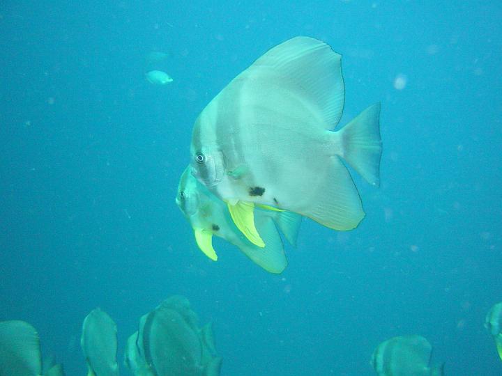 DSC04557.JPG