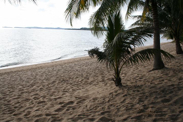 IMG_7875.JPG