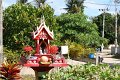 IMG_7878