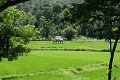 IMG_7990