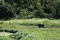 IMG_7991