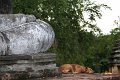 IMG_8086