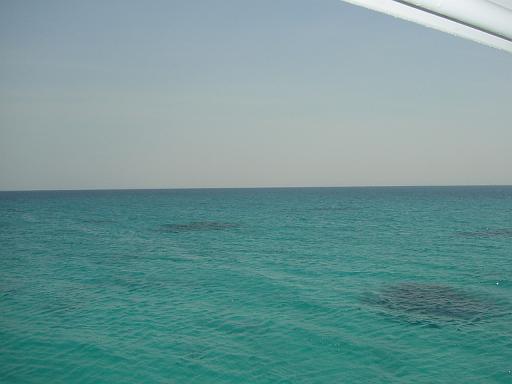 DSC04650.JPG