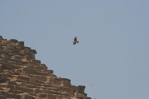 IMG_3229.JPG