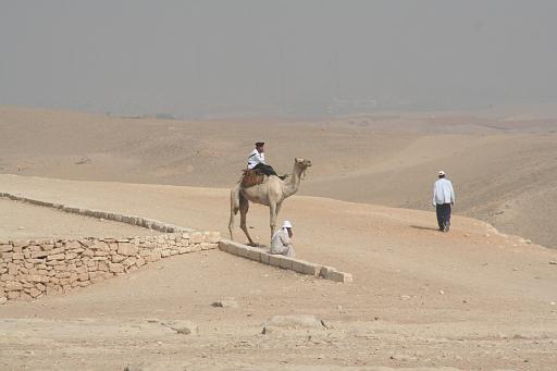 IMG_3230.JPG
