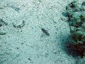 DSC04619
