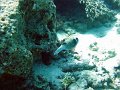 DSC04638