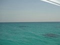 DSC04650