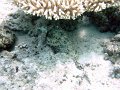 DSC04658
