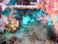 DSC04687