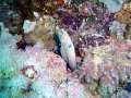 DSC04691