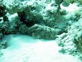 DSC04719