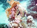 DSC04725