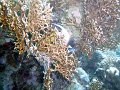 DSC04737