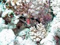 DSC04744