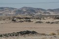 IMG_3311