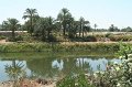 IMG_3319