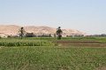 IMG_3327