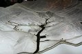 IMG_3354