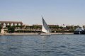 IMG_3366