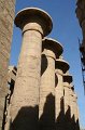 IMG_3391