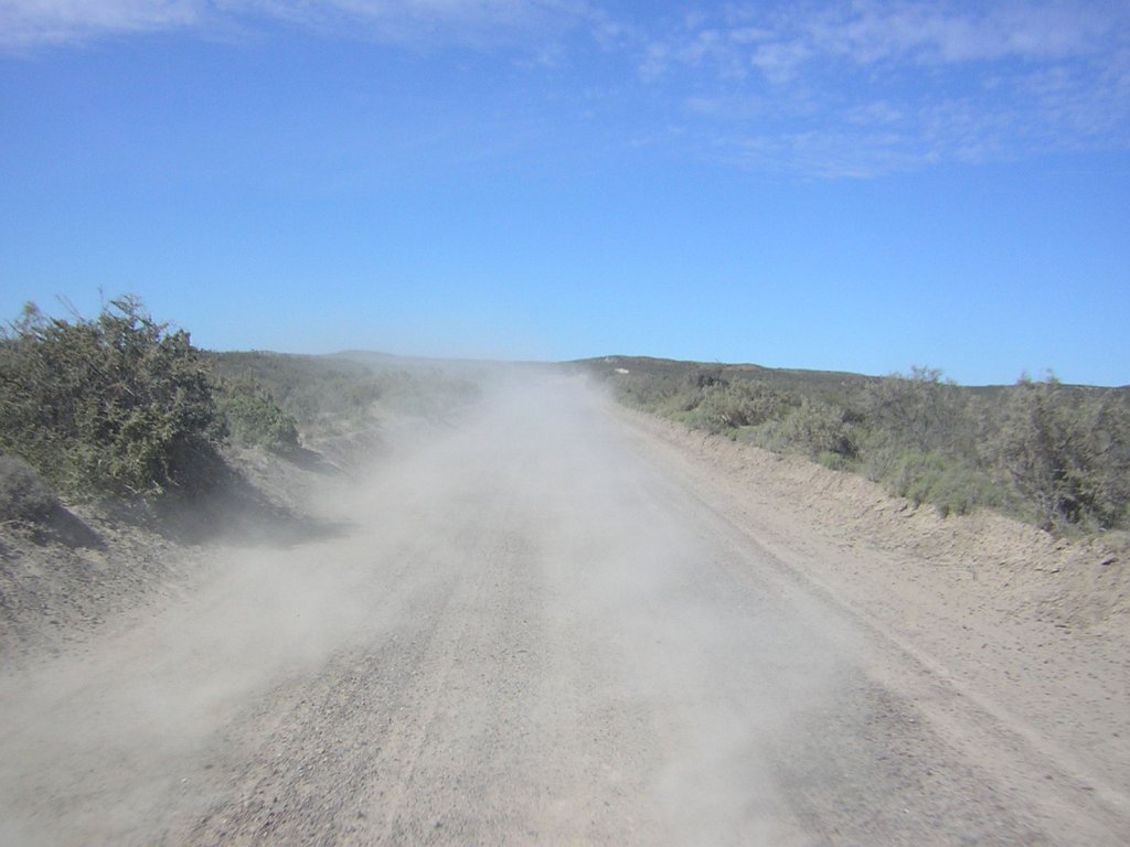 DSCN1374.JPG