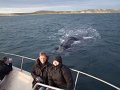 2008_1104Patagonien0062