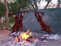 2008_1104Patagonien0111
