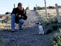 2008_1104Patagonien0576