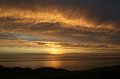 IMG_5445