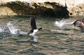 IMG_5487