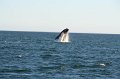 IMG_5547