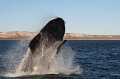 IMG_5558