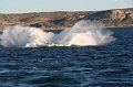 IMG_5596