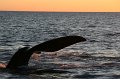 IMG_5648