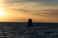 IMG_6433
