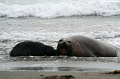 IMG_6455