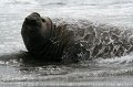 IMG_6462