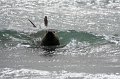 IMG_6468