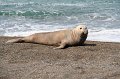 IMG_6513