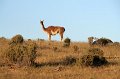 IMG_6637