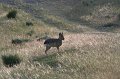 IMG_6676