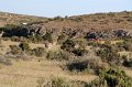 IMG_6678
